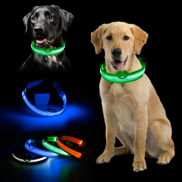 LED dog light